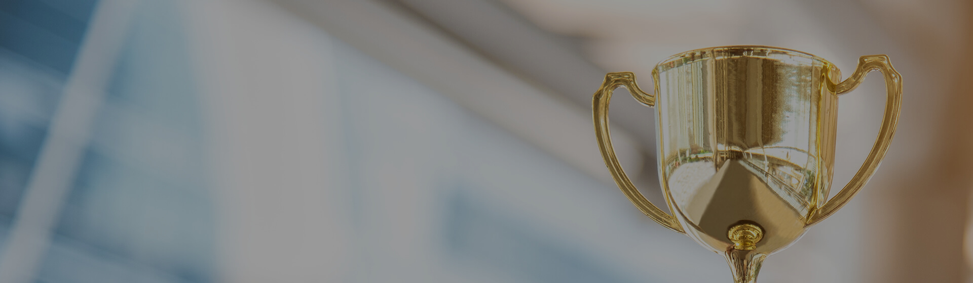 工程荣誉-大红鹰dhy装饰