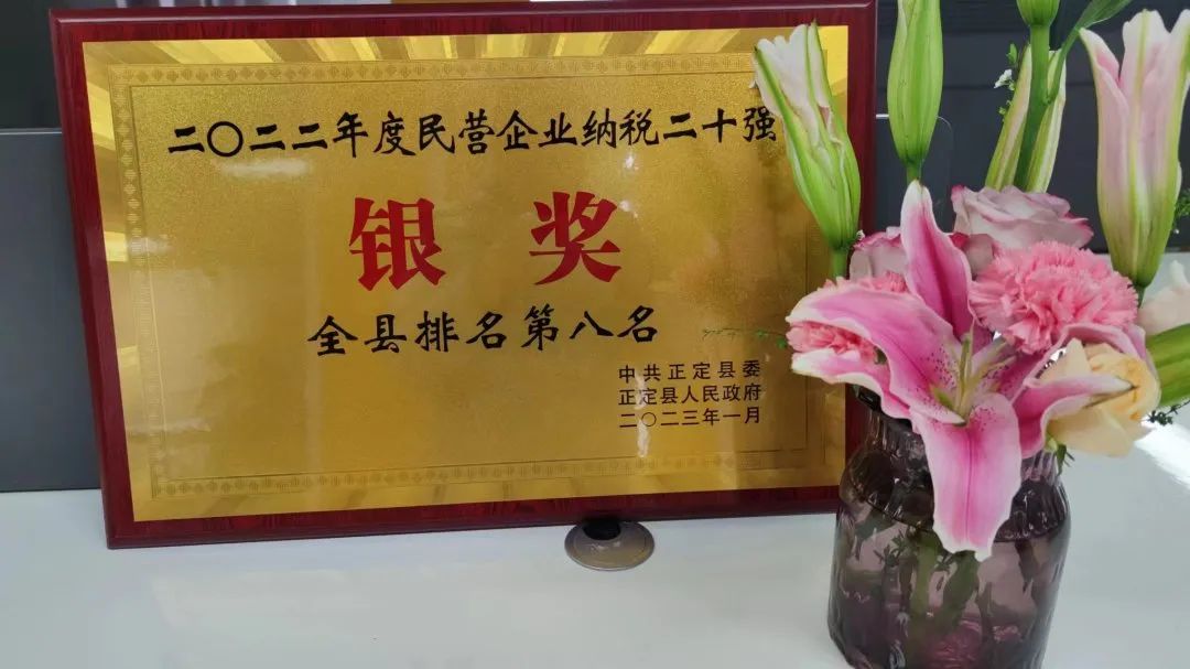 荣誉 | 大红鹰dhy装饰荣获正定县2022年度民营企业纳税二十强银奖