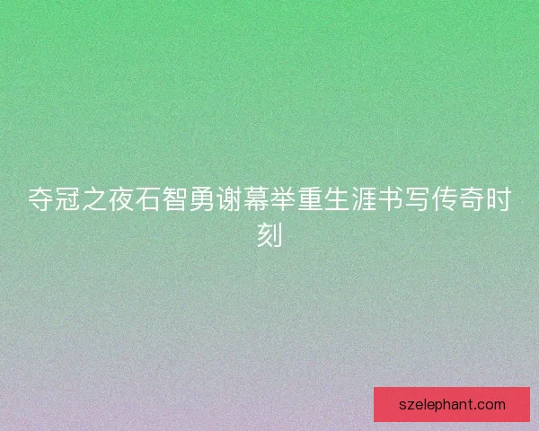夺冠之夜石智勇谢幕举重生涯书写传奇时刻