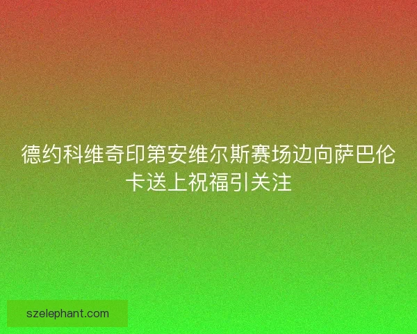 德约科维奇印第安维尔斯赛场边向萨巴伦卡送上祝福引关注