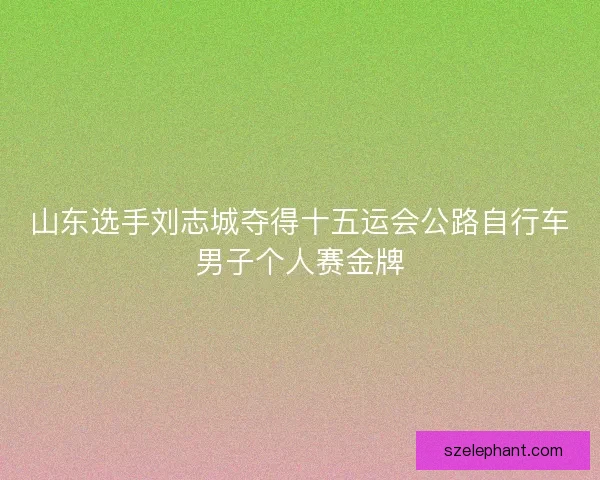 山东选手刘志城夺得十五运会公路自行车男子个人赛金牌