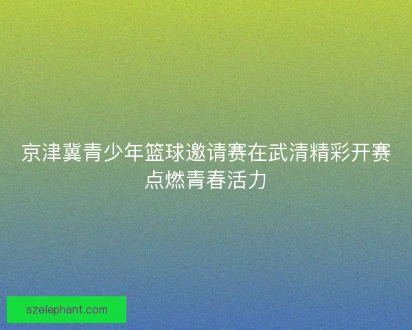 京津冀青少年篮球邀请赛在武清精彩开赛点燃青春活力 京津冀青少年篮球邀请赛在武清精彩开赛点燃青春活力