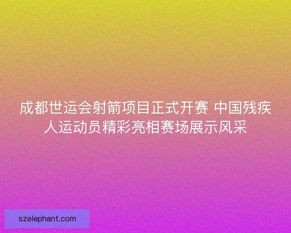成都世运会射箭项目正式开赛 中国残疾人运动员精彩亮相赛场展示风采