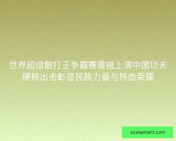 世界超级散打王争霸赛震撼上演中国功夫硬核出击彰显民族力量与热血荣耀 世界超级散打王争霸赛震撼上演中国功夫硬核出击彰显民族力量与热血荣耀